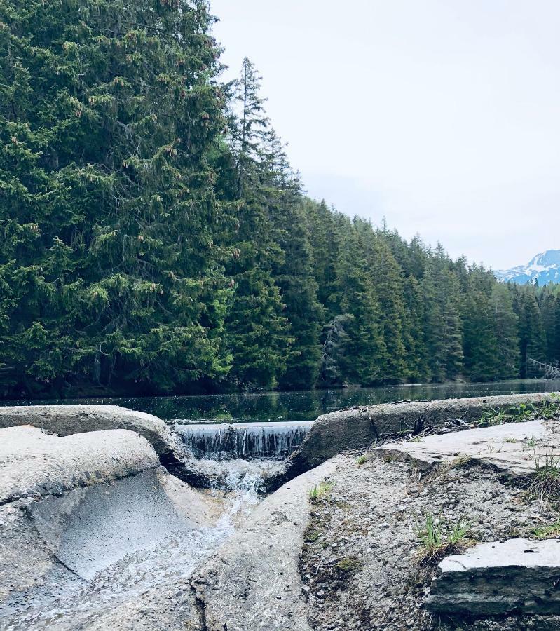 Apart Ferienraich Arzl im Pitztal Dış mekan fotoğraf